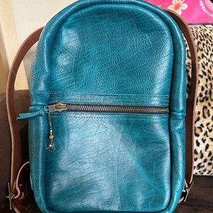 Go Forth Goods Limited Edition COBALT BISON Medium Zippered Backpack